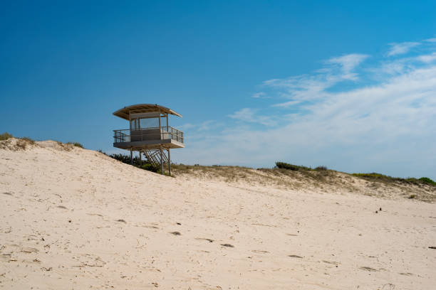 istock sandy beach with blue water on a sunny day 1825785134