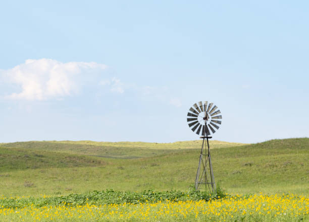 moulin à vent dans une prairie entourée de tournesols indigènes dans les dunes de sable du nebraska - nebraska midwest usa farm prairie photos et images de collection