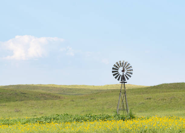 mulino a vento su una prateria circondata da girasoli nativi nelle colline sabbiose del nebraska - nebraska midwest usa farm prairie foto e immagini stock