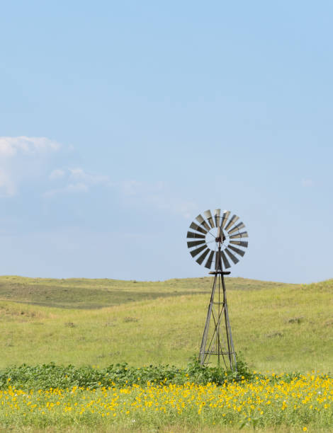 moulin à vent vintage sur une prairie entourée de tournesols indigènes dans les dunes de sable du nebraska - nebraska midwest usa farm prairie photos et images de collection