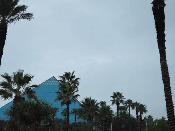 Pyramid Shaped Building In Galveston Texas Surrounded By Palm Trees