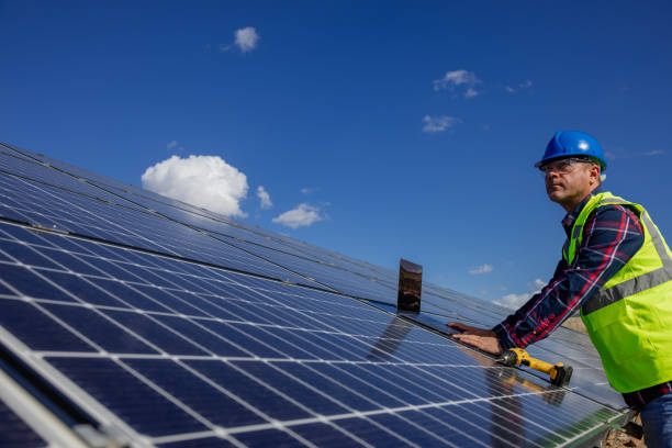 istock Male engineer working with a laptop on a field with solar panels 1825928432