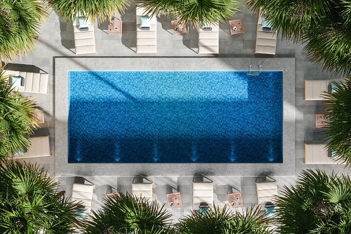 High Angle View Of Swimming Pool With Lounge Chairs And Palm Trees