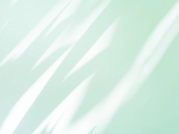 istock Shadow Background Green Effect Overlay  Leaf Grey Floor Wall Frame Shade Backdrop blur Tropic Tree Summer Plant Nature Leaves Sun Light White Minimal Scene Marble Abstract Template Texture Bg Mockup. 1826020770