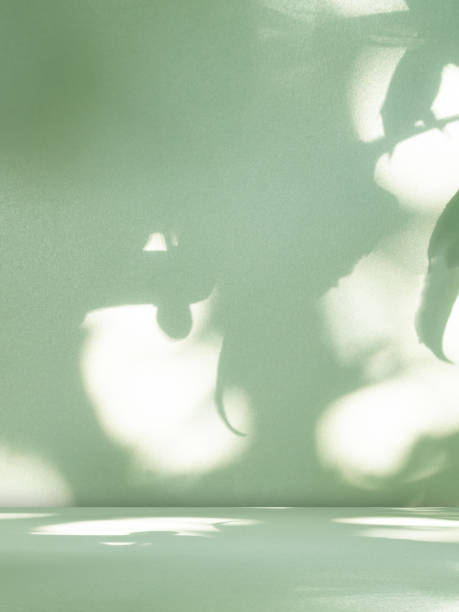 istock Green Studio Product Nature Shadow Wall 3d Abstract Leaf Platform Minimal Overlay Tree Scene Display Floor Podium Texture elegant Wallpaper Pedestal Eco Backdrop Loft Mockup Kitchen Table Template. 1826021338