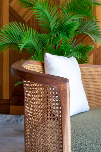 istock Wicker Couch with white Pillow and Palm Tree in a living room 1826070255