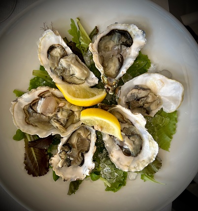 Fresh oysters and lemon on the plate top view