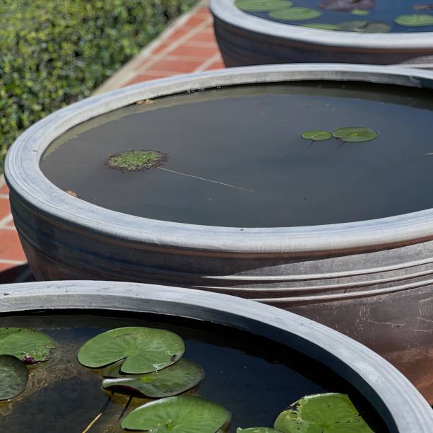 istock water feature in the garden. 1826193673