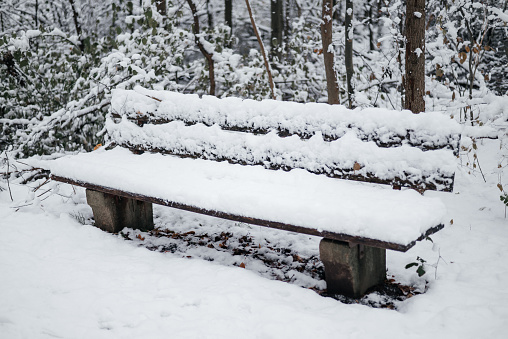 snow-covered bench and rubbish bin in the park
