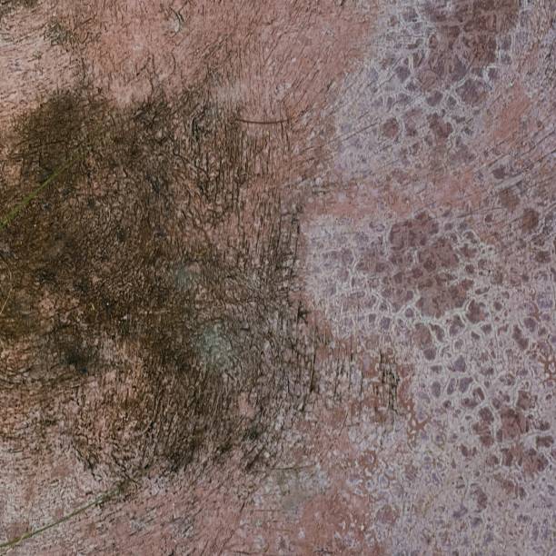istock texture of a pink stone wall with a pattern of green moss. 1826200222