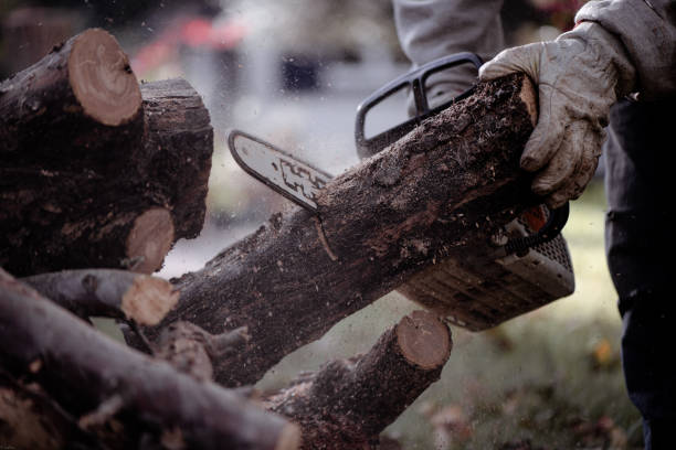 istock Cutting wood for the fire 1826238467
