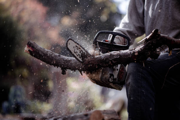 istock Cutting wood for the fire 1826240069