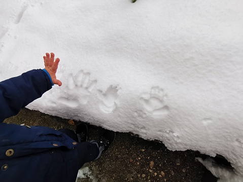 Children's handprints in the snow