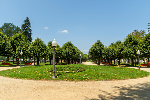 A bright summer's day at Coimbra, Portugal's city park. Nature background and wallpaper.