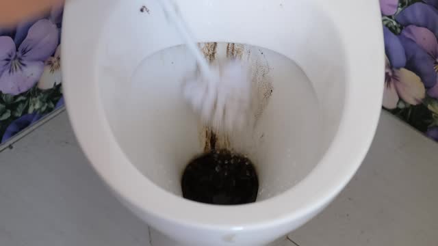 A man cleaning a dirty toilet bowl with a white ruff. Close-up.