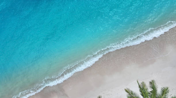 istock Beach Wave water in the Tropical summer beach with  sandy beach background 1826288082