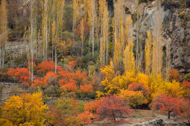 istock Nature and Landscape of Autumn 1826305509
