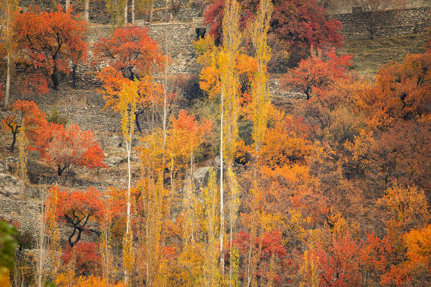 istock Nature and Landscape of Autumn 1826306057