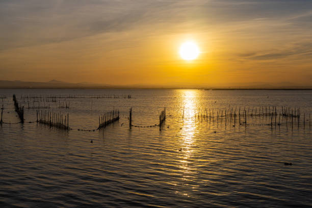 istock A lake with fish nets and sunny path against the backdrop of an orange sunset 1826330595