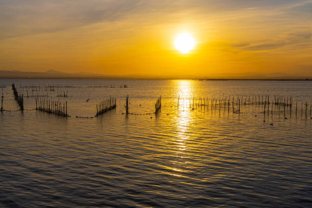 istock A lake with fish nets and sunny path against the backdrop of an orange sunset 1826330600