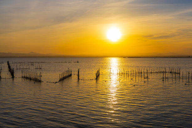 istock A lake with fish nets and sunny path against the backdrop of an orange sunset 1826330603