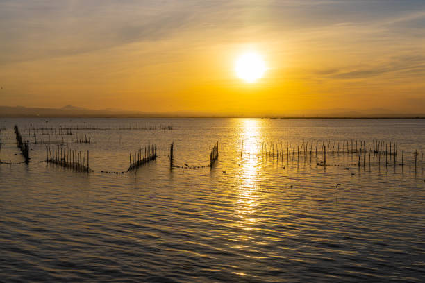 istock A lake with fish nets and sunny path against the backdrop of an orange sunset 1826330604