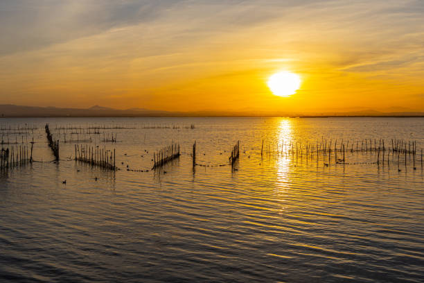 istock A lake with fish nets and sunny path against the backdrop of an orange sunset 1826337208