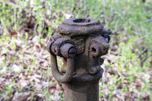 old metal fence post with forgings on it on grass background