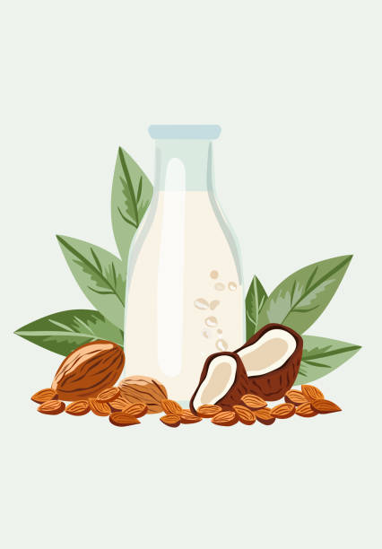 ilustrações de stock, clip art, desenhos animados e ícones de vegan healthful organic, lactose-free milk in bottle glass. milk with almond nut, coconut, pine nut. non dairy, plant based beverages, ideal for a wholesome diet. organic, vegetarian, diet nutrition. - pine nut nut seed vegan food