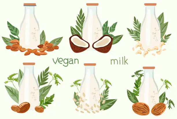 Vector illustration of Plant based milk concept, Alternative, non-dairy drinks for health conscious consumers. Organic lactose free options like almond, cashew, pine nut, coconut milk. Milk in bottle glass. Vector