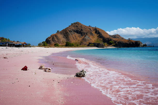istock Pink Beach, Tropical Island 1826380129