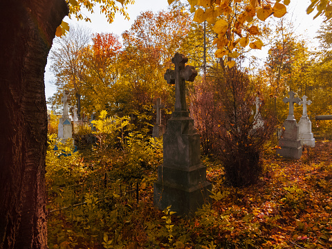Sunny autumn cemetery. Abandoned stone crosses. Overgrown old graves. Golden colors in the ancient cemetery.