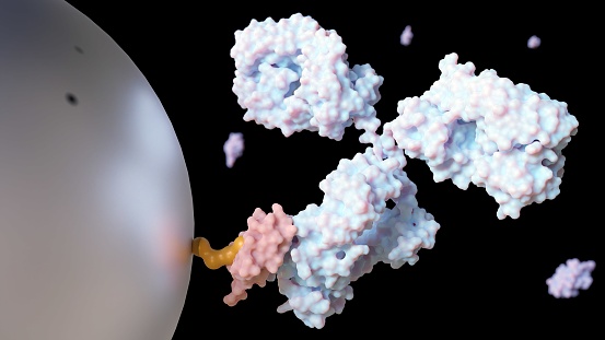 A close-up 3D rendering of antibody-conjugated magnetic nanoparticles.