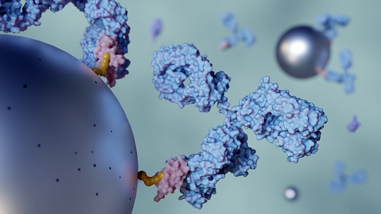A close-up 3D rendering of antibody-conjugated magnetic nanoparticles.