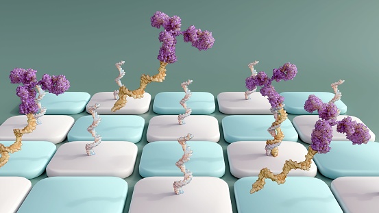 Antibody-oligonucleotide conjugates or AOC use in antibody arrays; 3d rendering