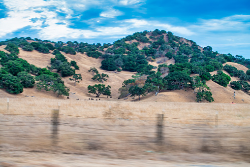 Beautiful Big Sur countryside at sunset