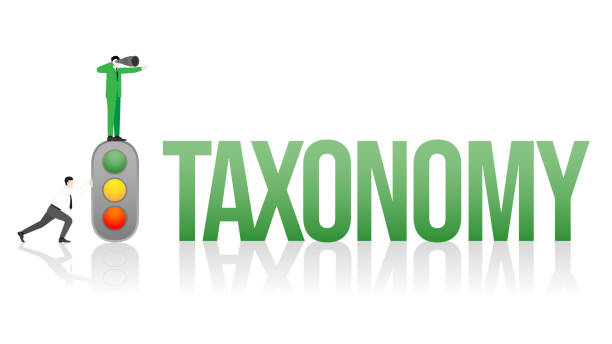 Changing of a new global business policy. Vision businessman on Taxonomy with Traffic Light System. Changing of a new global business policy. Vision businessman on Taxonomy with Traffic Light System. ESG sustainability, Taxonomy, economy, ecology, and sustainable development. Vector illustration. taxonomy stock illustrations