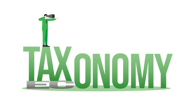 Changing of a new global business policy. Vision businessman on Economy changes to Taxonomy. Changing of a new global business policy. Vision businessman on Economy changes to Taxonomy. ESG sustainability, Taxonomy, economy, ecology, and sustainable development concept. Vector illustration. taxonomy stock illustrations