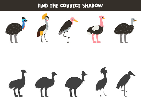 Find shadows of cute cartoon birds. Educational logical game for kids. Printable worksheet for preschoolers.