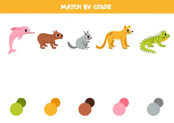Vector illustration of Match South American  and colors. Educational worksheet for kids. Cute cartoon dolphin, capybara, chinchilla, iguana and puma.