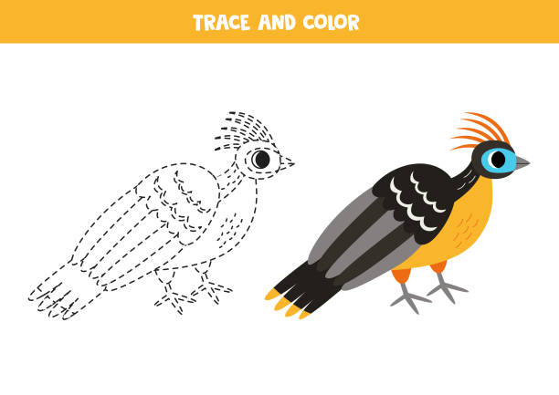 Trace and color cartoon hoatzin. Worksheet for children. Trace and color cute cartoon hoatzin. Worksheet for kids. hoatzin stock illustrations