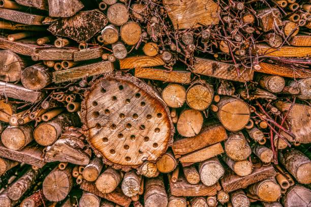 Large man made insect hotel in public gardens