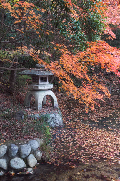 istock Landscape dyed red with autumn leaves 1826560642