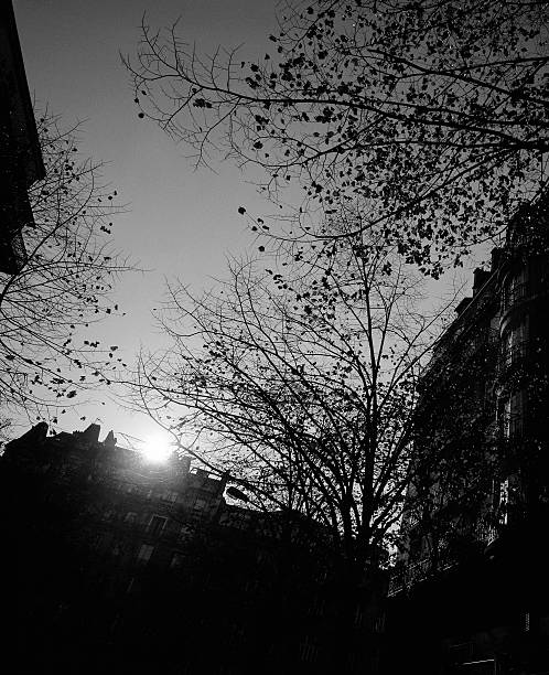 istock Dawn in Paris, France. 182658632