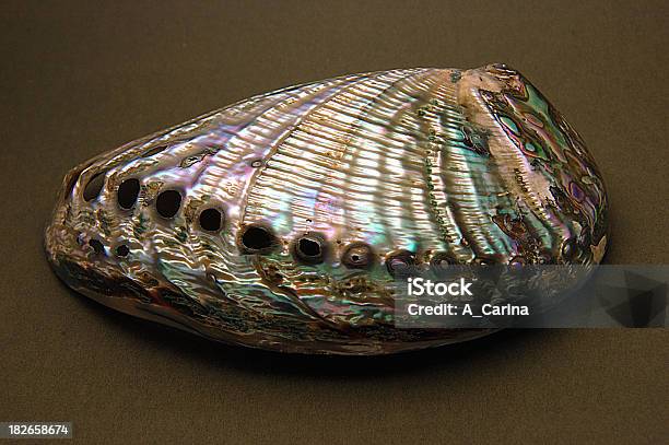 Foto de Abalone Shell e mais fotos de stock de Orelha-do-mar - Orelha-do-mar, Animal, Arte