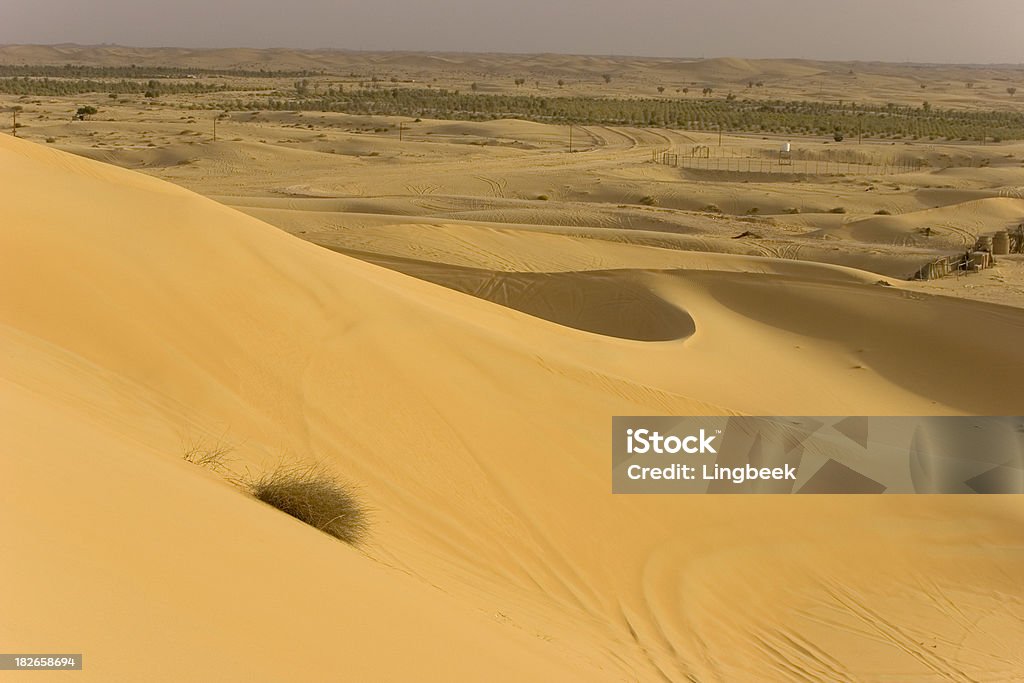 Desert-Wüstensafari - Lizenzfrei Abu Dhabi Stock-Foto
