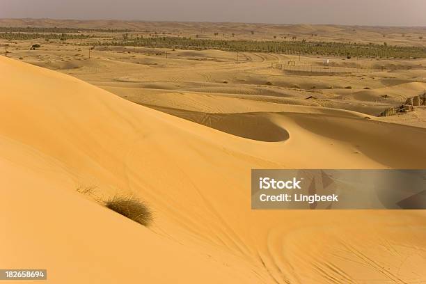 Desertwüstensafari Stockfoto und mehr Bilder von Abu Dhabi - Abu Dhabi, Abwesenheit, Arabeske