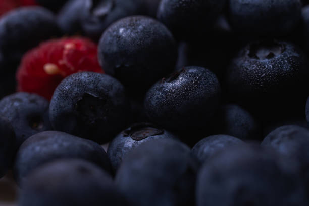 Blueberry berries, close up. Water drops on berries. Berry background