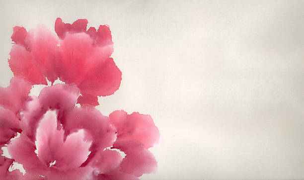 gruß-karte - backgrounds pink flower softness stock-grafiken, -clipart, -cartoons und -symbole