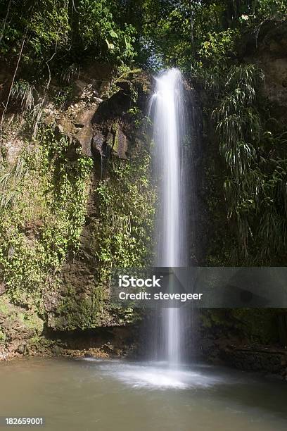 Tropische Wasserfall Stockfoto und mehr Bilder von Wasserfall - Wasserfall, Fallen, Fallendes Gewässer